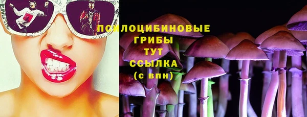 стаф Алзамай