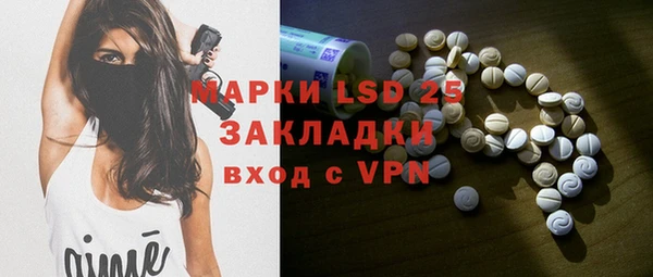 стаф Алзамай