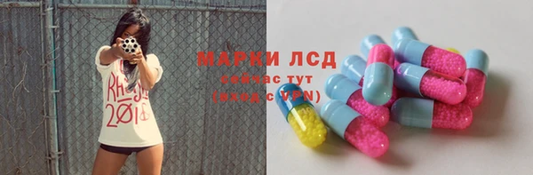 стаф Алзамай