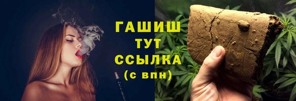 стаф Алзамай