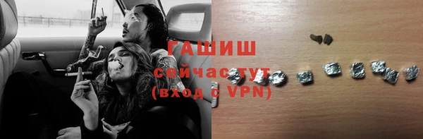 стаф Алзамай