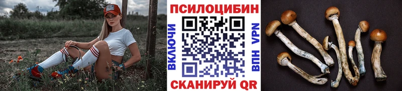 гидра   Нижний Ломов  Галлюциногенные грибы ЛСД 